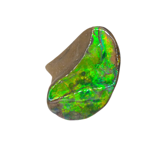 Lucentara Premium Ammolite Table Sample – Radiant Elegance in Natural Form