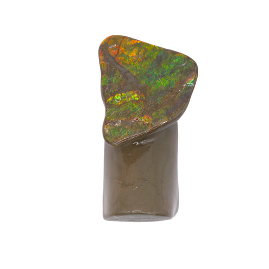 Lucentara Premium Ammolite Table Sample – Radiant Elegance in Natural Form