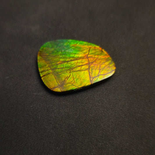 Hand-Polished Ammolite Freeform