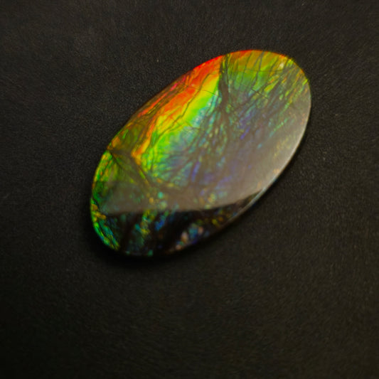 Hand-Polished Ammolite Freeform