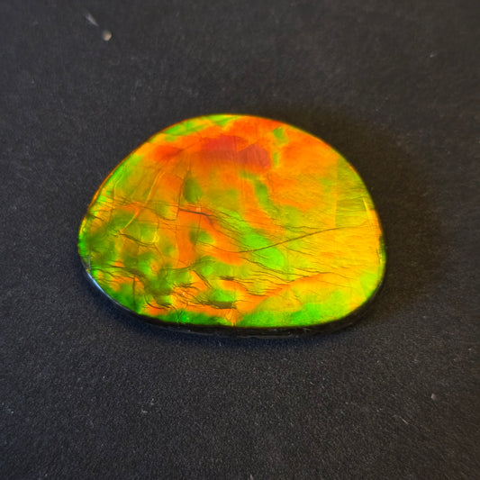 Hand-Polished Ammolite Freeform