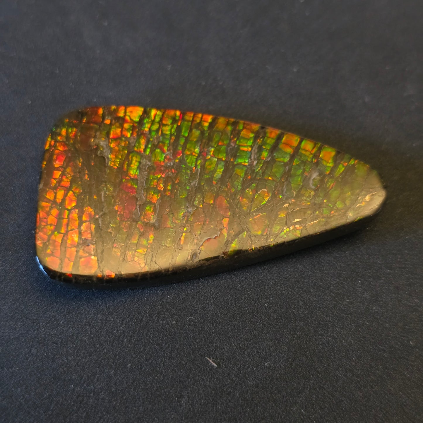 Hand-Polished Ammolite Freeform