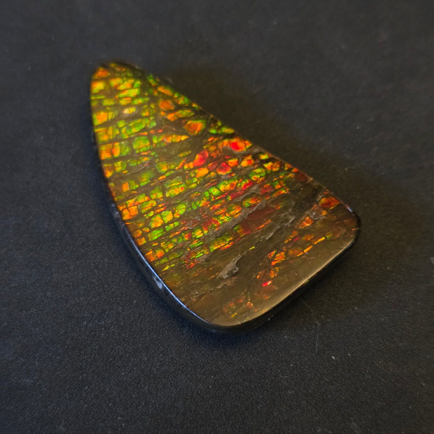 Hand-Polished Ammolite Freeform