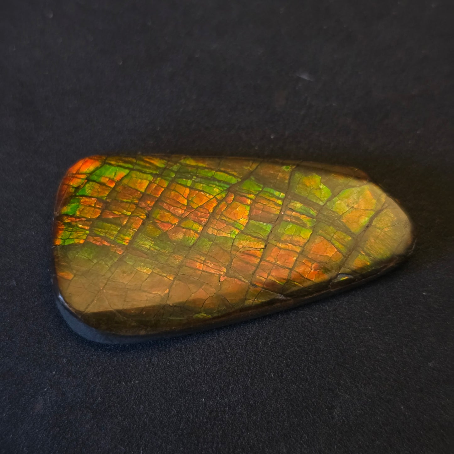 Hand-Polished Ammolite Freeform