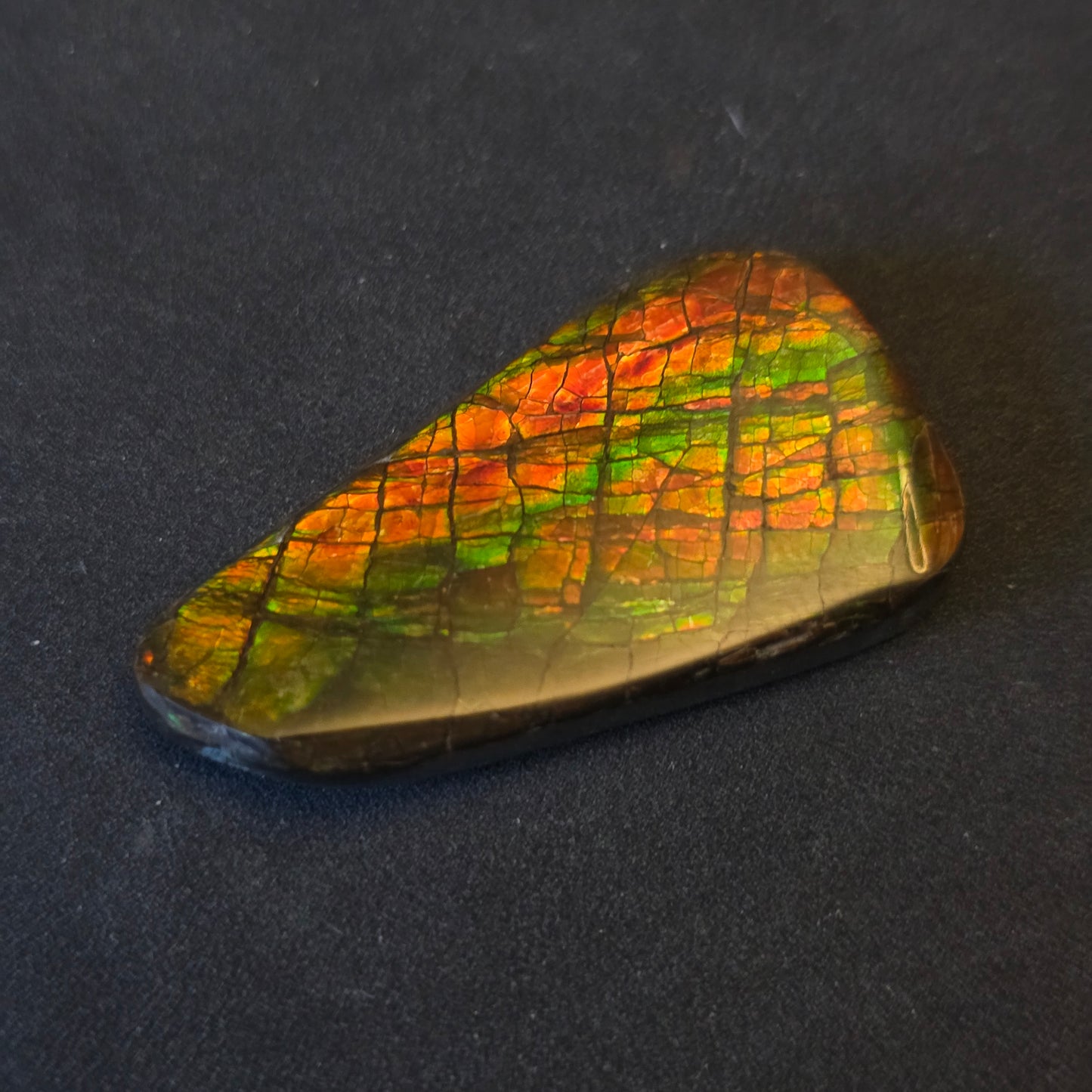 Hand-Polished Ammolite Freeform