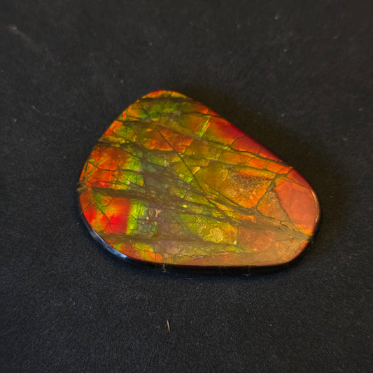 Hand-Polished Ammolite Freeform - Imperial