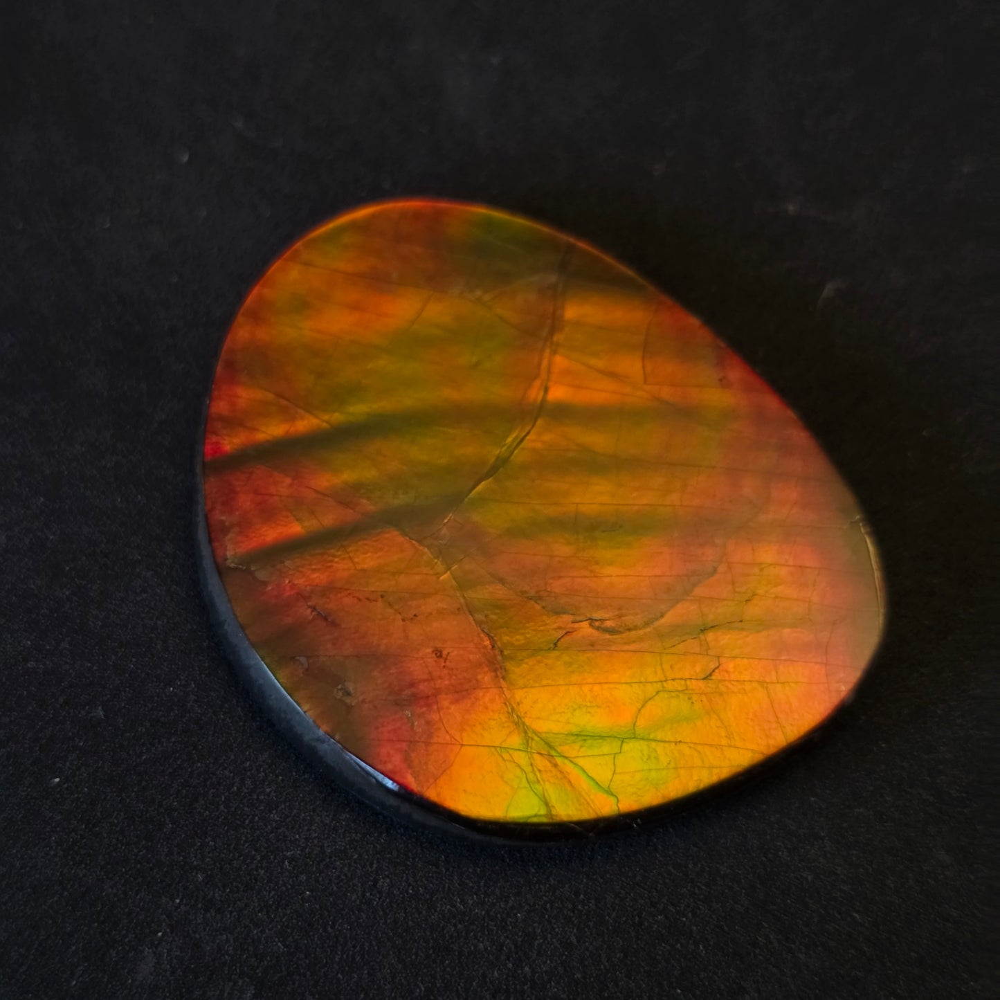 Hand-Polished Ammolite Freeform