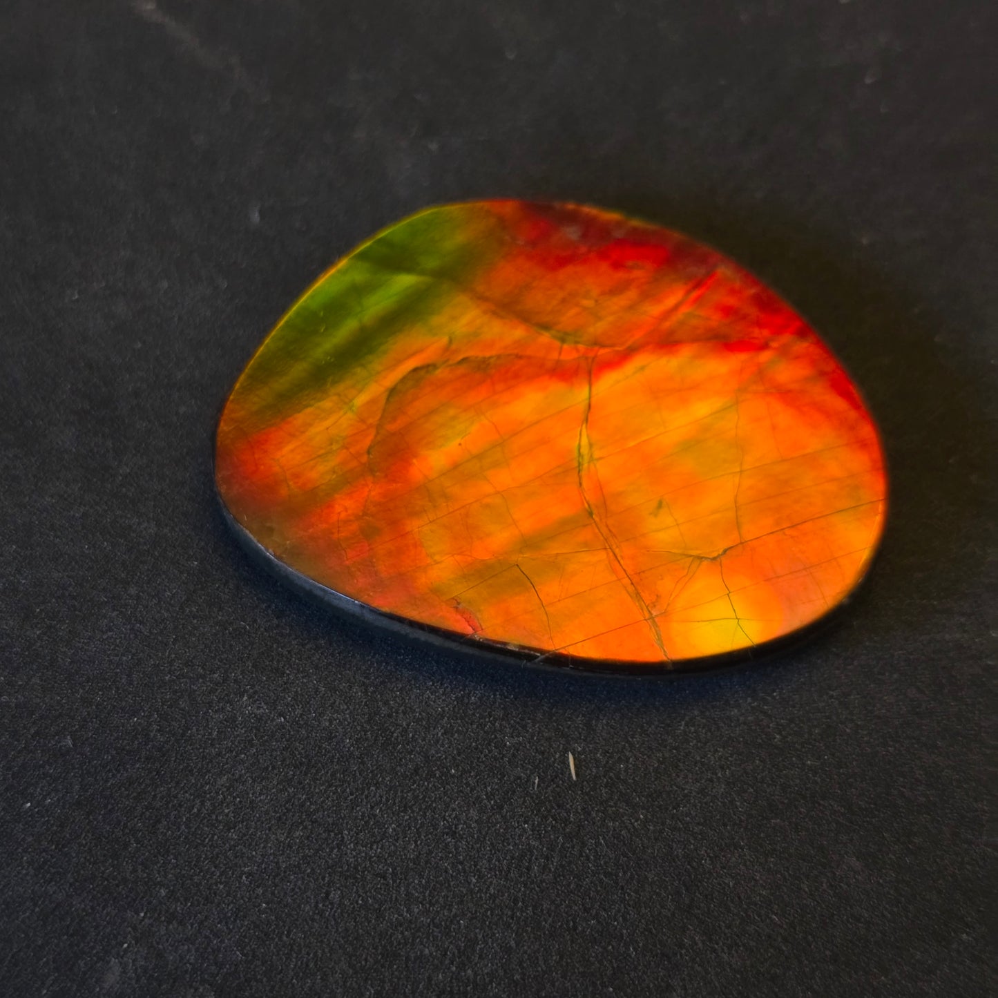 Hand-Polished Ammolite Freeform