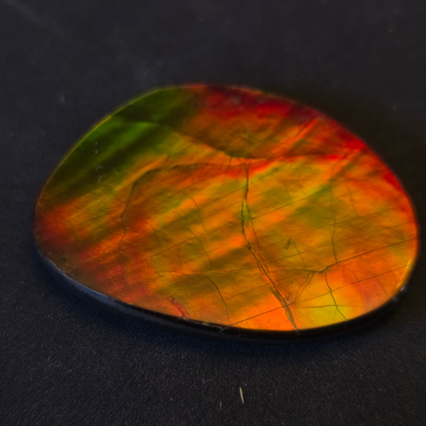 Hand-Polished Ammolite Freeform