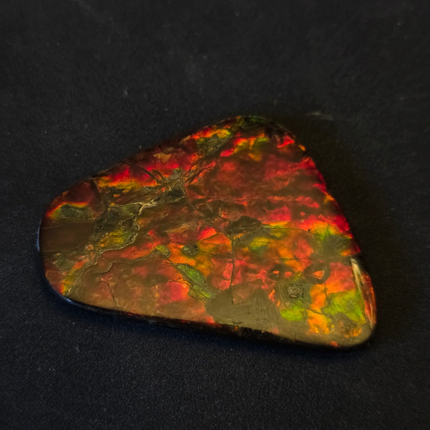 Hand-Polished Ammolite Freeform