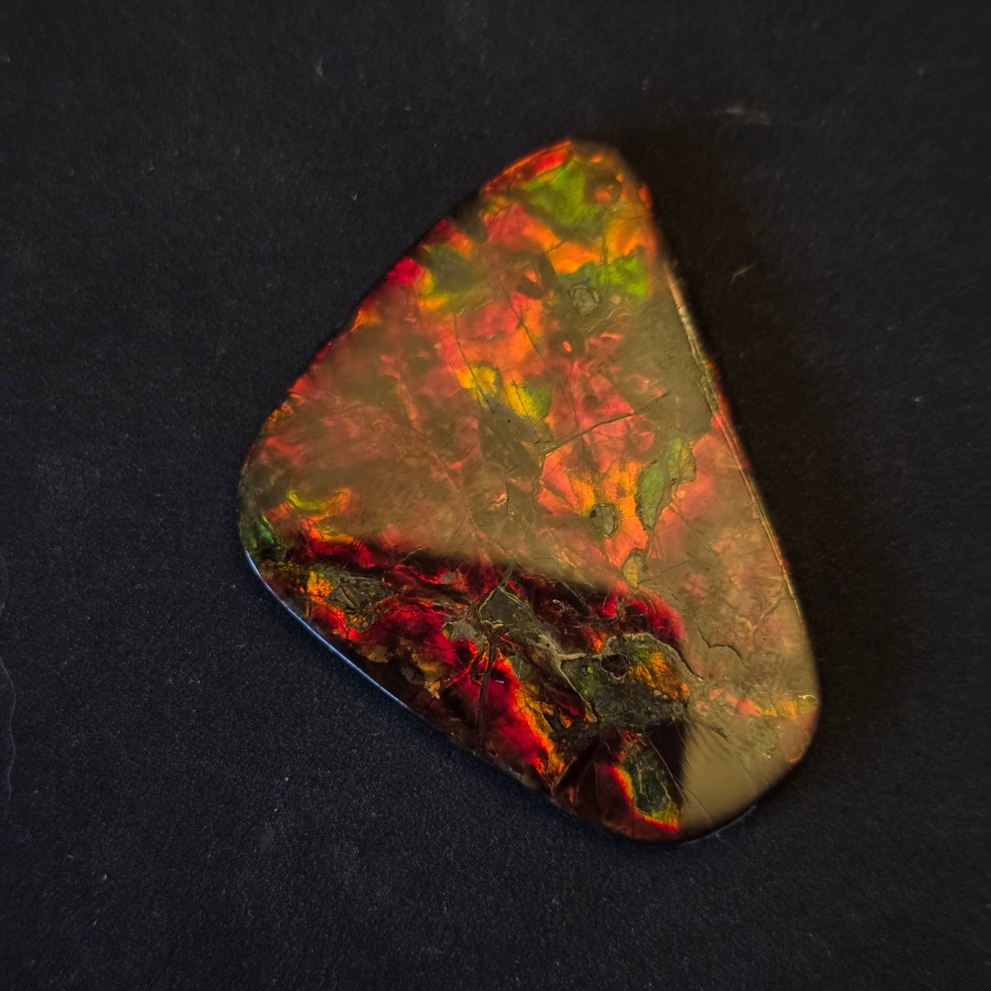 Hand-Polished Ammolite Freeform