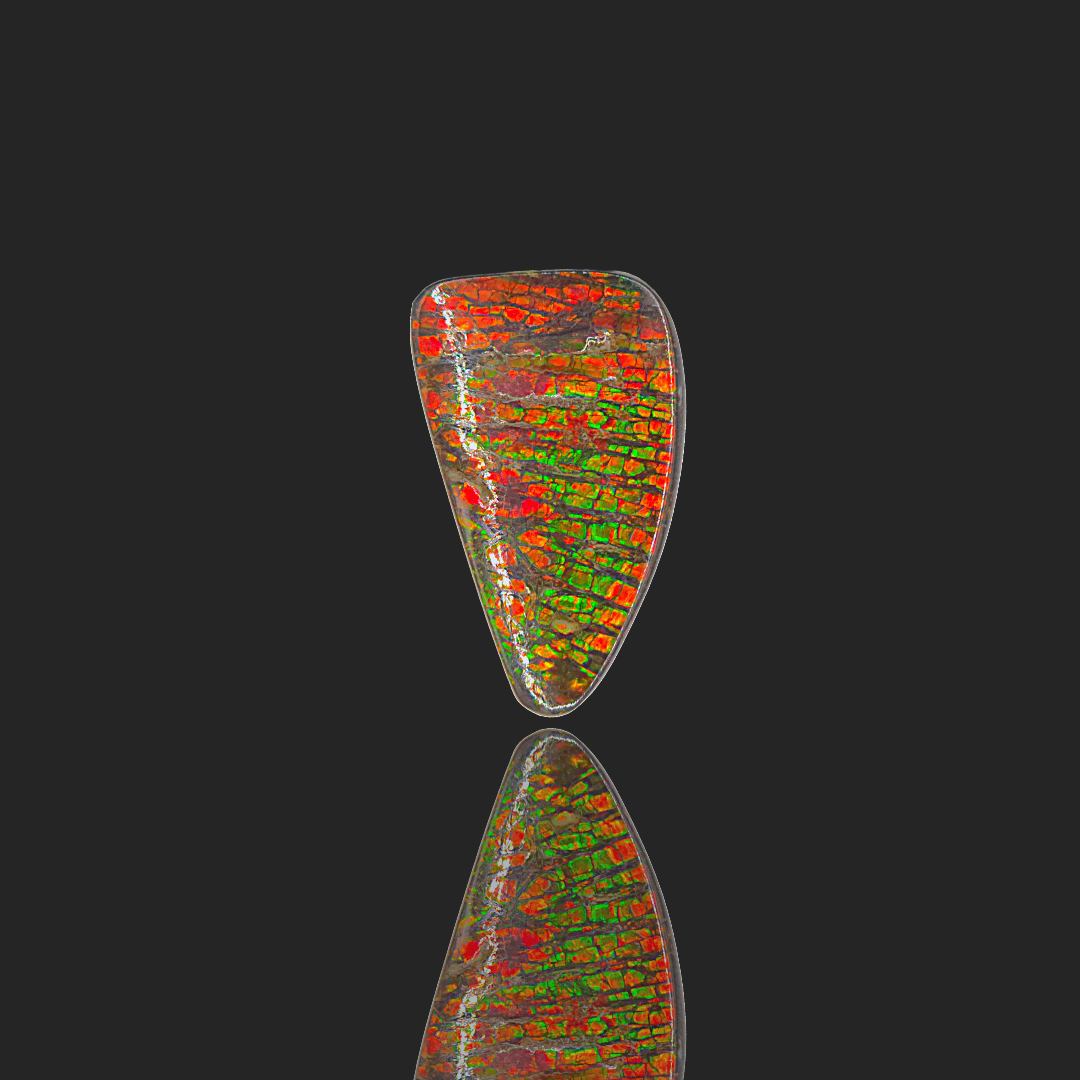 Hand-Polished Ammolite Freeform