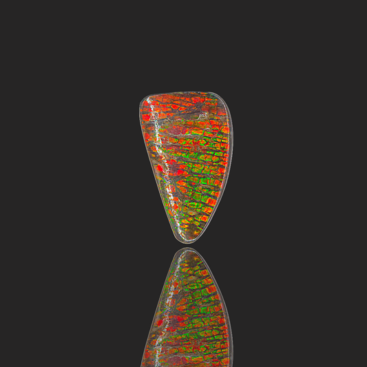 Hand-Polished Ammolite Freeform