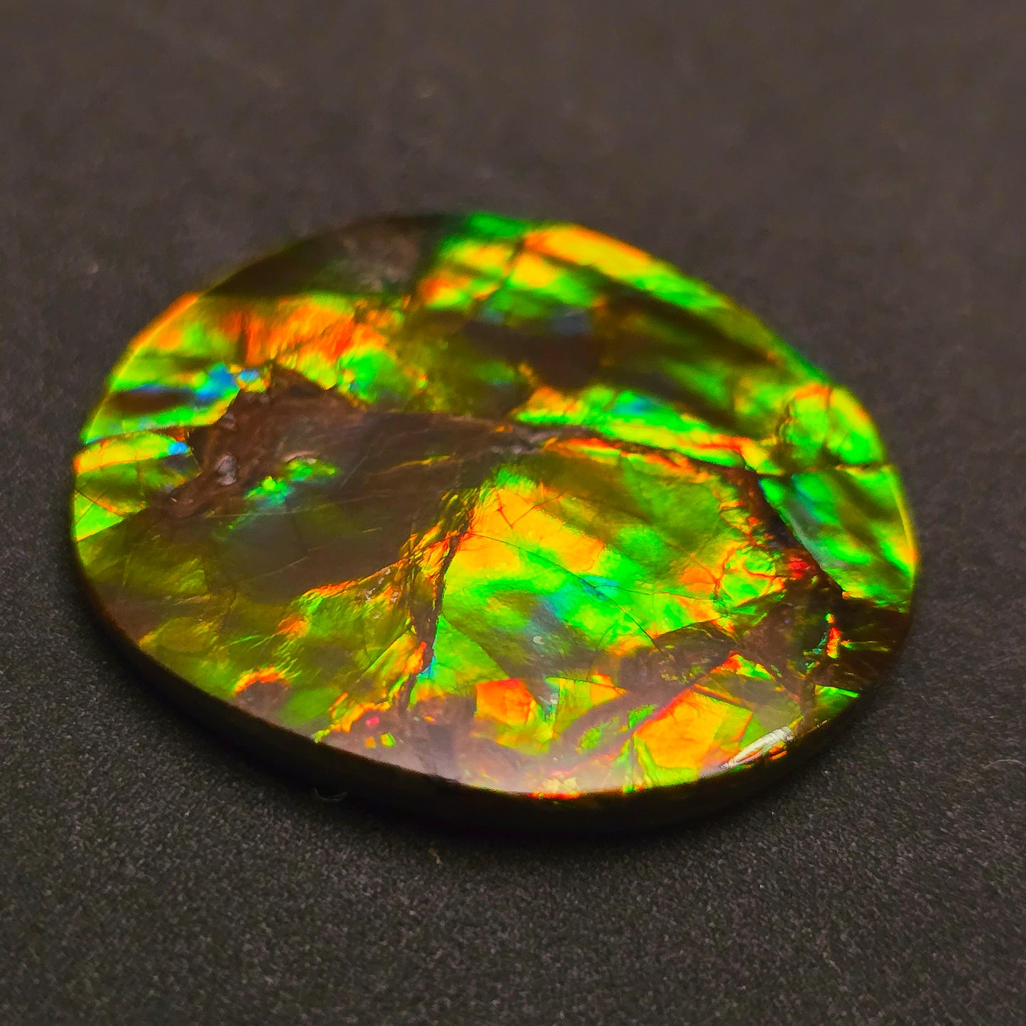 Hand-Polished Ammolite Freeform