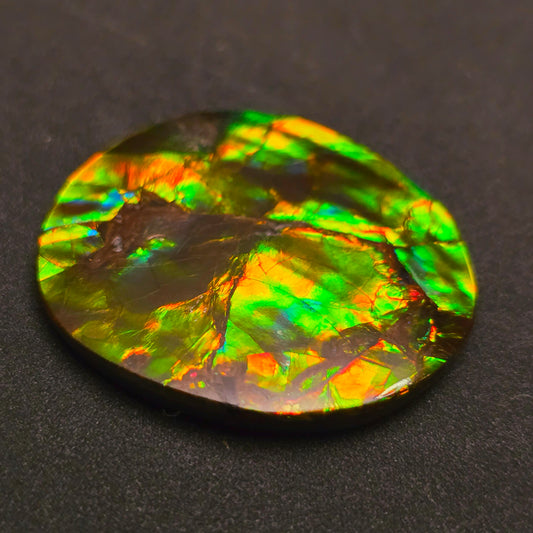 Hand-Polished Ammolite Freeform